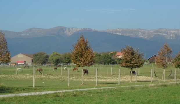 2012 022