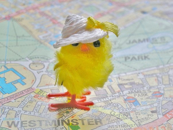 Oui, c'est moi le petit poussin à Londres © C.A. 2013