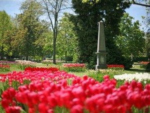 Fête de la Tulipe, Parc de l'Indépendance Morges © Sacha Fehlmann