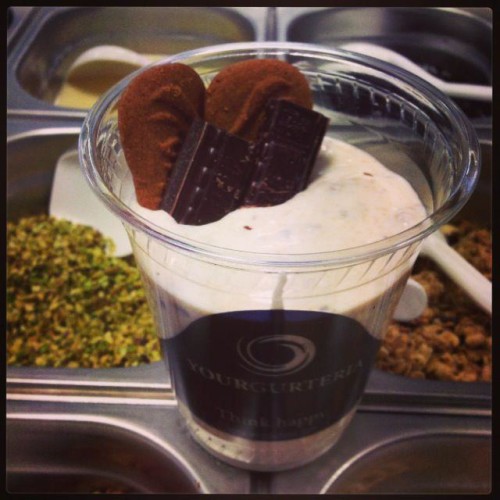 YourSpecial Stracciatella de Speculoos et Chocolat Noir  © Yourgurteria, Geneva