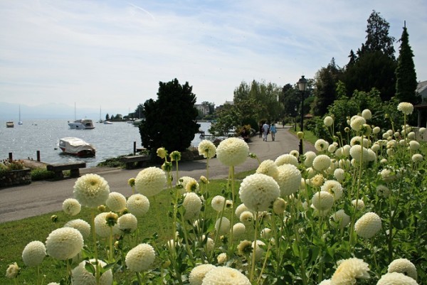 Les Quais du Dahlia, Morges (VD) ©  Morges Région Tourisme