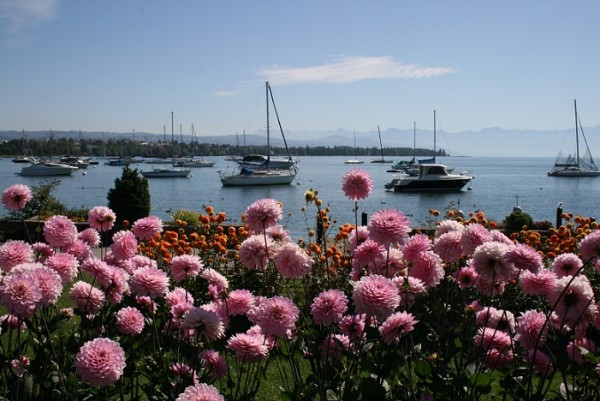 Les Quais du Dahlia, Morges (VD) ©  Morges Région Tourisme