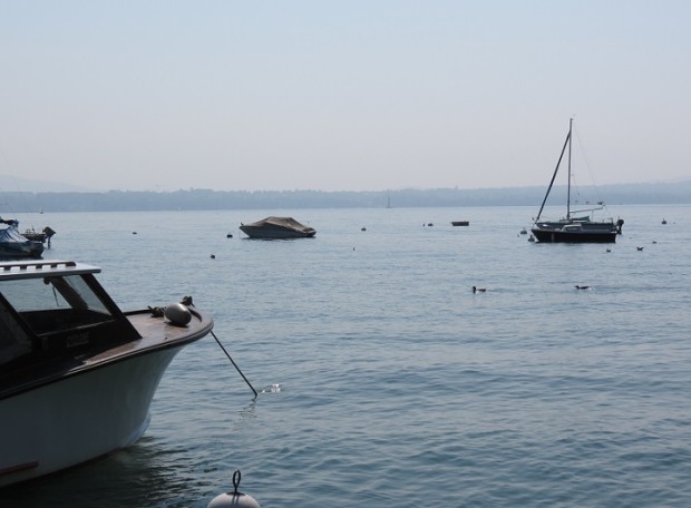 Lake views from la Buvette de la Plage, Tannay (VD) © genevafamilydiaries.net