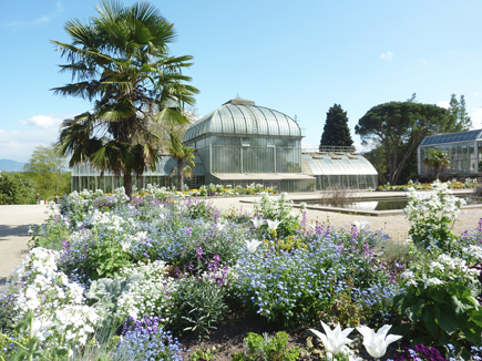 © 2013 Conservatoire et Jardin botaniques, Ville de Genève.