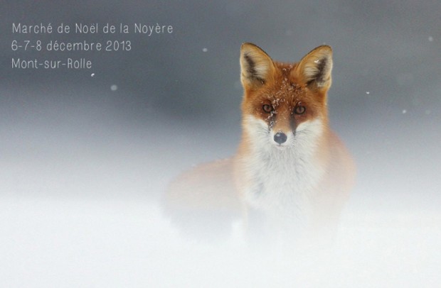 © Marché de Noël de la Noyere - Mont sur Rolle