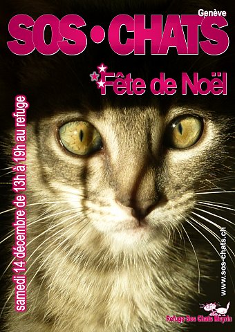 SOS Chats - Geneva