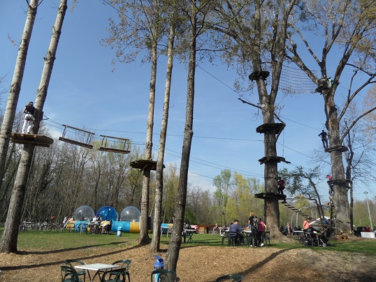 Tree-climbing at Forestland in Divonne-les-Bains. Photo © genevafamilydiaries.net