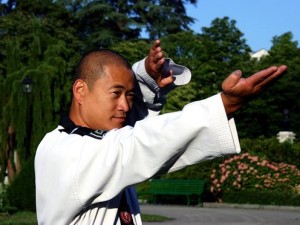  © Il Gi Dojang Taekwondo Genève