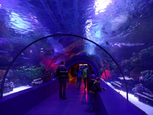 The Aquarium in Antalya. Photo © genevafamilydiaries.net