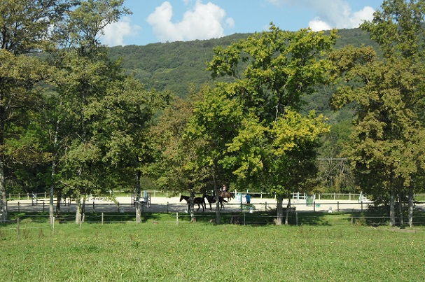 Les Ecuries du Rosey, Grilly. Photo © genevafamilydiaries.net