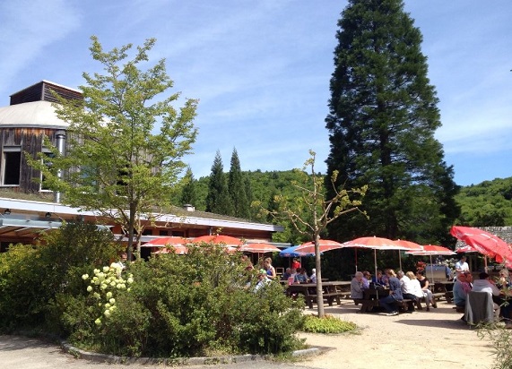 Outdoor family brunch at the Arboretum, Aubonne (VD). Photo © genevafamilydiaries.net