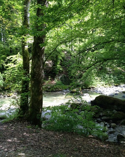 A mountain stream along the path. Photo © genevafamilydiaries.net
