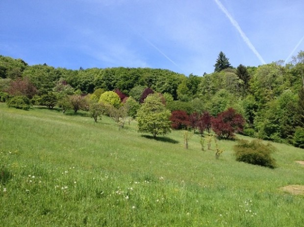 Arboretum National du Vallon de l'Aubonne. Photo © genevafamilydiaries.net