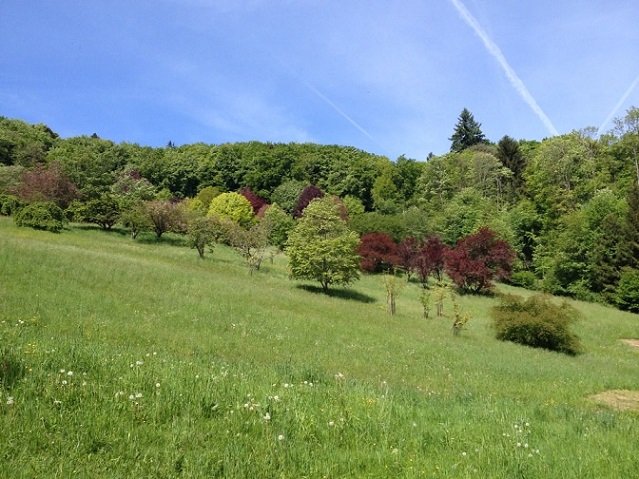 Arboretum National du Vallon de l'Aubonne. Photo © genevafamilydiaries.net