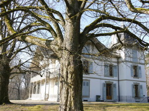 © 2015 Maison de la créativité, Conches (GE).