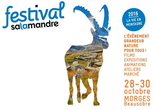 Copyright 2016 Festival Salamandre